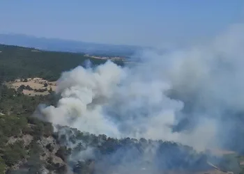 Çanakkale’de orman yangını