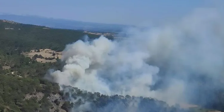 Çanakkale’de orman yangını