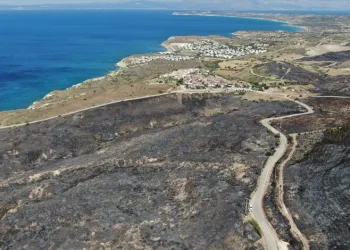 İzmir Çeşme’deki yangınlar kontrol altında