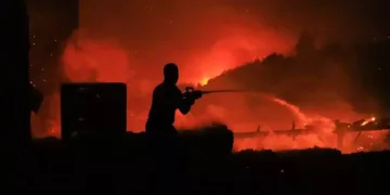 Datça’daki yangından 17 konut olumsuz etkilendi