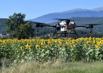 Kestel’de çayır tırtılı istilasına dronlu önlem