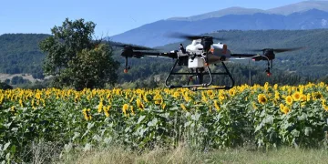 Kestel’de çayır tırtılı istilasına dronlu önlem