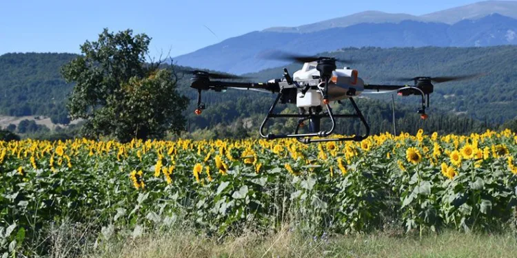 Kestel’de çayır tırtılı istilasına dronlu önlem