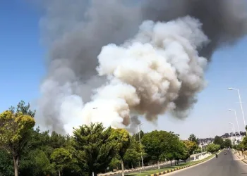 Gaziantep’te orman yangını