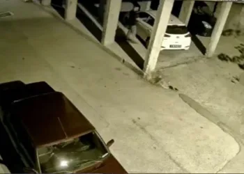 Bursa’da hırsıza alarm engeli