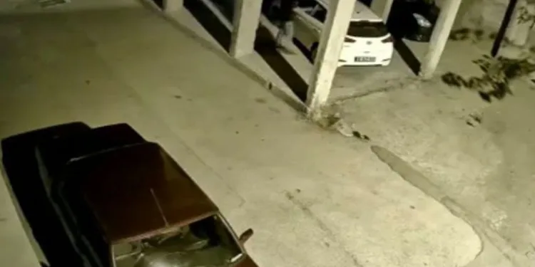 Bursa’da hırsıza alarm engeli