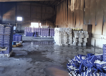 Yumurta çiftliği yandı, 60 bin tavuk telef oldu