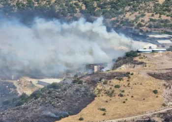 Bergama’da otluk alanda yangın