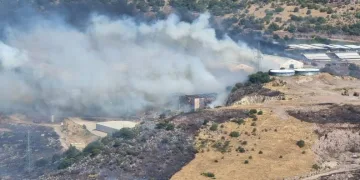 Bergama’da otluk alanda yangın