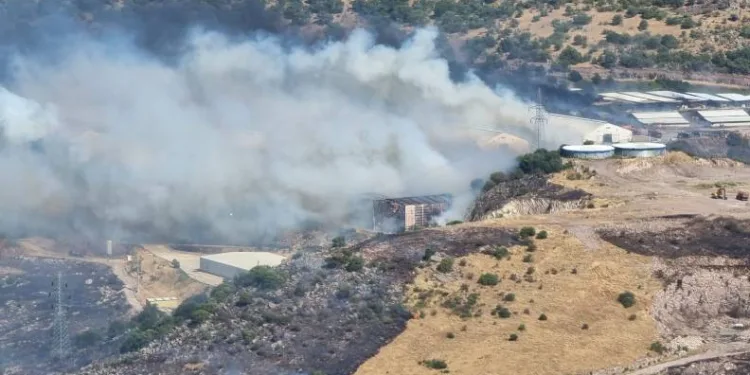 Bergama’da otluk alanda yangın