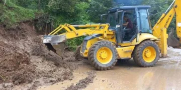 Ordu’da kuvvetli yağışın bilançosu: 336 heyelan