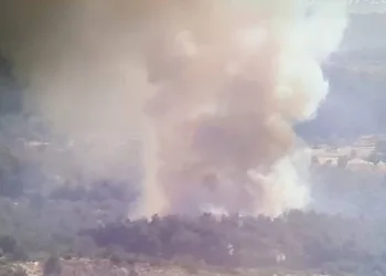 İzmir’de orman yangını