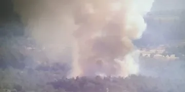 İzmir’de orman yangını