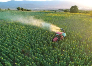 İnegöl Belediyesi’nden çayır tırtılına müdahale