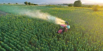 İnegöl Belediyesi’nden çayır tırtılına müdahale