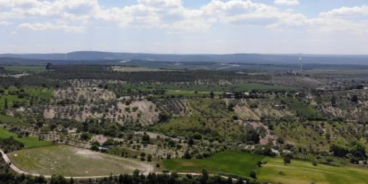 Çanakkale’de ormanlık alanlara girmek yasaklandı