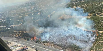 İzmir’de makilik alanda yangın