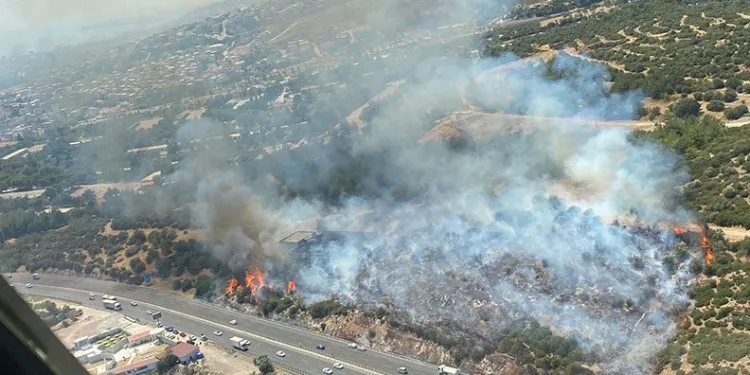 İzmir’de makilik alanda yangın