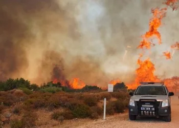 İzmir-Çeşme otoyolu trafiğe kapatıldı