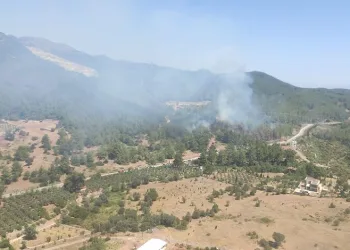 İzmir’deki yangınlar kontrol altında