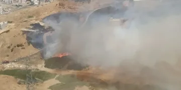 İzmir’in iki ilçesinde yangın
