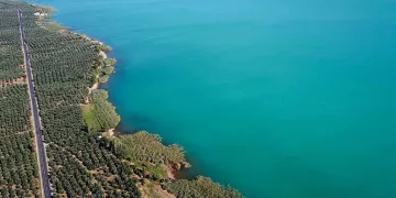 İznik Gölü turkuaz renge büründü