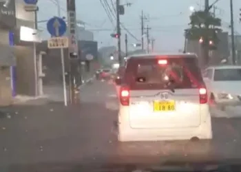 Japonya’da şiddetli yağış 310 bin haneyi elektriksiz bıraktı