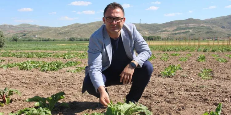Şeker pancarında dışa bağımlılık sona erecek