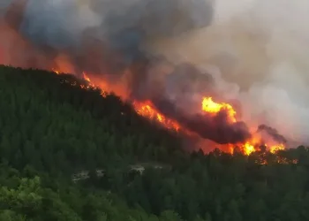 Kütahya’daki orman yangını kontrol altına alındı