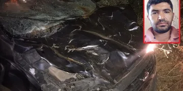 Hayvanlarını yolun karşısına geçirirken canından oldu