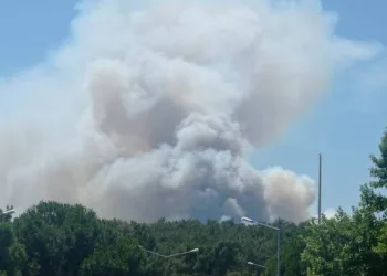 Manisa’da orman yangını