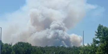 Manisa’da orman yangını