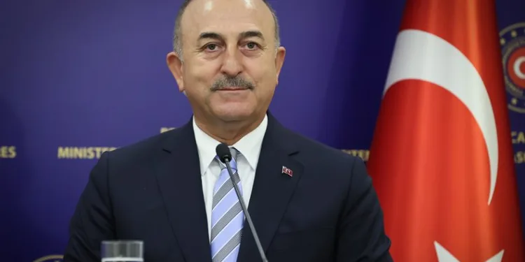Balıkesir’de zeytin sineğine karşı mücadele