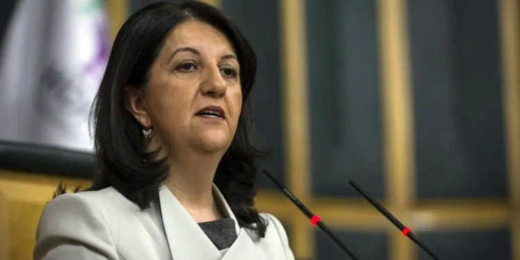 HDP’li Buldan’dan DBP’li Aydeniz’e destek