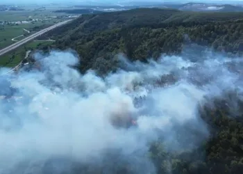 Sakarya’daki orman yangını kontrol altında