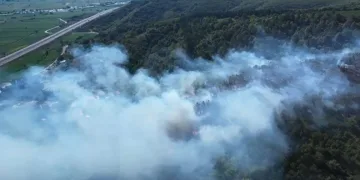 Sakarya’daki orman yangını kontrol altında