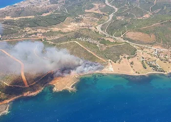 İzmir Seferihisar’da iki ayrı noktada yangın