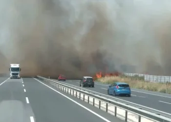 İstanbul – Tekirdağ yolunda yangın
