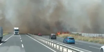 İstanbul – Tekirdağ yolunda yangın