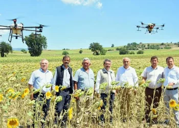 Çayır tırtılı Yenişehir’de kontrol altına alındı