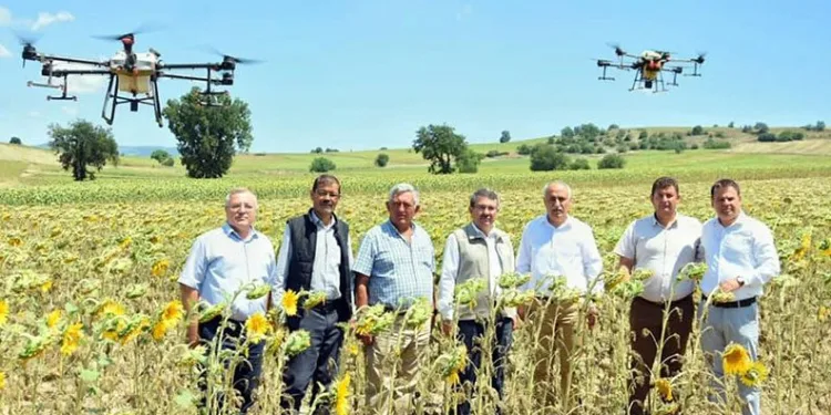 Çayır tırtılı Yenişehir’de kontrol altına alındı