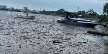 Şiddetli yağış nedeniyle balıkçı tekneleri battı