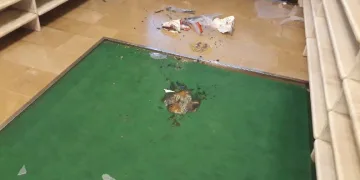 Zonguldak’ta camiyi yakmak istedi