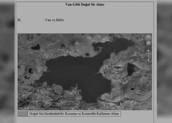 Van Gölü için sevindiren haber