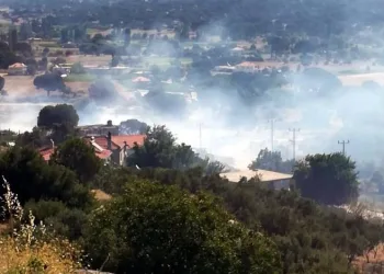 Milas’taki yangın korkuttu