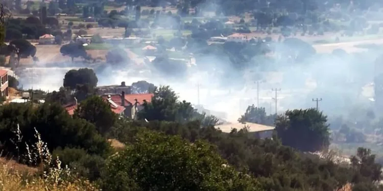 Milas’taki yangın korkuttu