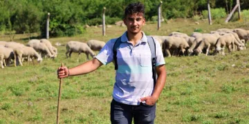 Liseli çoban üniversiteye tepelerde hazırlanıyor