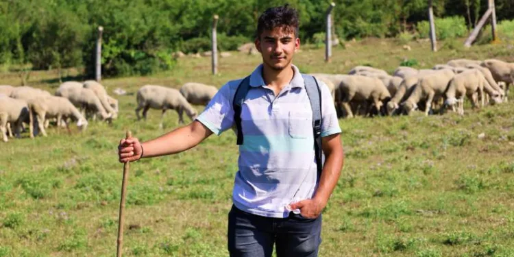 Liseli çoban üniversiteye tepelerde hazırlanıyor