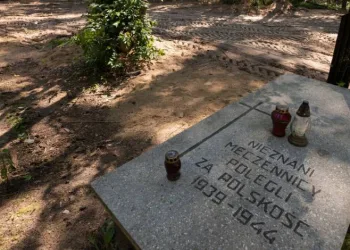 Polonya’da Nazi kurblarının külleri bulundu