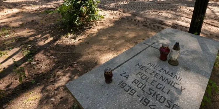 Polonya’da Nazi kurblarının külleri bulundu